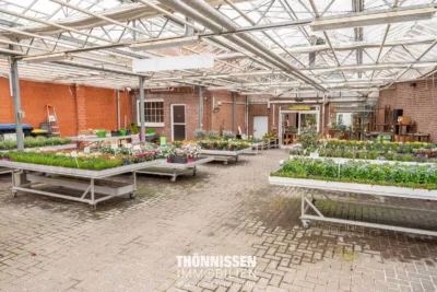 Raum für Ideen: Wohn- und Geschäftshaus mit großem Hallenpotenzial in Heinsberg-Kirchhoven - Gewächshaus (2787)