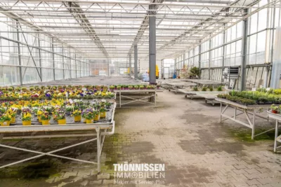 Raum für Ideen: Wohn- und Geschäftshaus mit großem Hallenpotenzial in Heinsberg-Kirchhoven - Gewächshaus (2789)